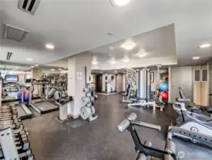 A fitness retreat at home: fully equipped and just an elevator ride away