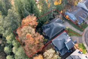 When you need to "get away", simply walk outside to your private arboretum! Indoors, heat pump keeps you cozy or cool, year around! Lot is .40 acres, 17,401 sq. ft.   Red lines are fairly reliable but not guaranteed.