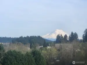 Enlarged image of Mt. Rainier from lot.