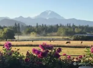 Fantastic views of the foothills and Mt Rainier from all of Enumclaw.