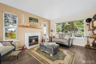 Living room windows let in lots of natural light