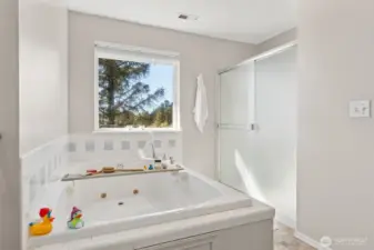 Soaking tub in master bathroom