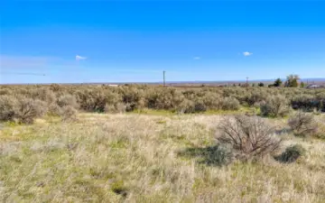 A level building area possibly? View looking South East.