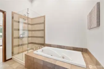Modern Touches with Soaker Tub and Shower