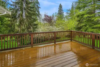Peaceful wooded view from the deck