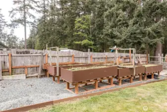 Backyard has raised garden beds and...