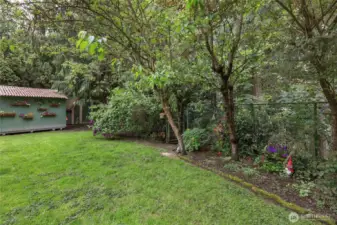 Woodland Backyard, Shaded, private, and peaceful—fully fenced yard with garden beds and fruit trees. Yet close to town and amenities.