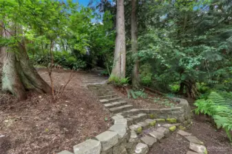 Terraced Forest Garden – Natural woodland setting with terraces and trails leading to your own serene creek hideaway.