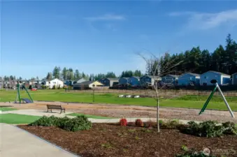 Neighborhood Park and Amenities