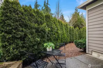Patio and garden space including garden bed.