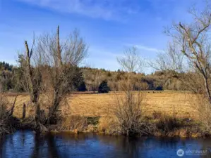 The field is already fully fenced for animals a boundaries.