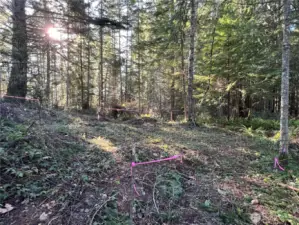 Perc holes still open for permitting.