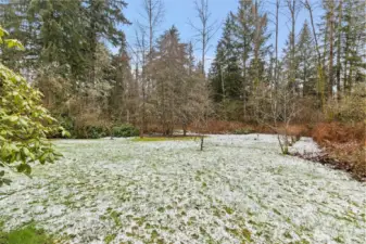 Large Flat Front Yard of Existing Home's 1-Acre Parcel