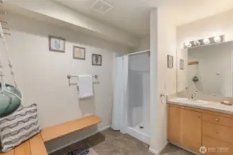 lower level guest bath