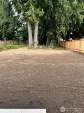 Rear yard prior to hydroseeding