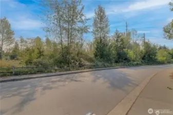 Here is front view of property with access on the left to property.  Sewer,water and power in front of the property to connect into property easily