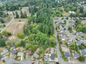 Take a look at the backyard view—Auburndale Park is right behind the house, offering green space and endless outdoor fun just steps from your door.
