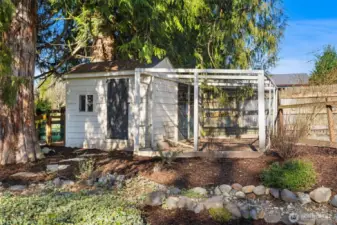 Your very own chicken coop