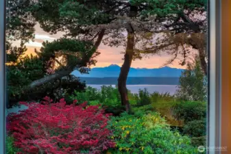 Seasonal Light & View Corridor  Filtered western light moves through mature trees, offering a tranquil outlook toward Puget Sound.