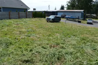 Looking SE from the middle of the lot