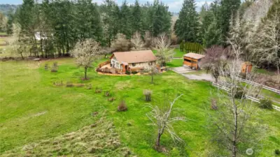 Variety of Fruit Trees