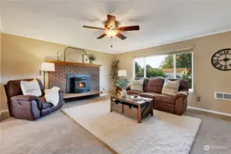 Living room with cozy pellet stove that can heat the whole home, crown molding and faux wood blinds