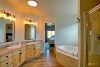 Primary bathroom with soaking tub, separate shower and double vanity.