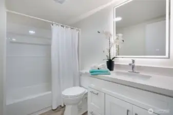 Lower level full bath