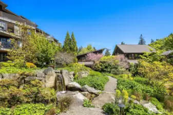 Let’s take one more Quick Look at the magical grounds before we head inside. Vineyard Lane is a Certified Natural Wildlife Habitat – providing four essentials to local birds and wildlife: food, water, shelter, and places to raise young.