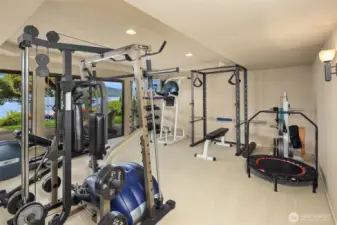 Bonus Room/Flex Space