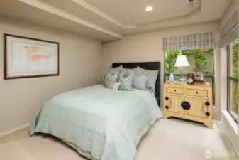 Basement Guest (3rd) Bedroom