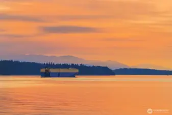 World traveling vessels sailing along the deep waters of Puget Sound with the Olympic Range in the background.