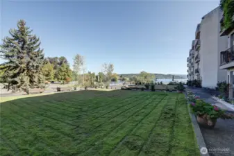 Large lawn space