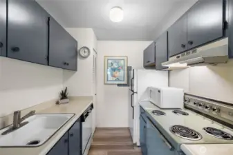 The galley kitchen with efficient layout and ample counter space.