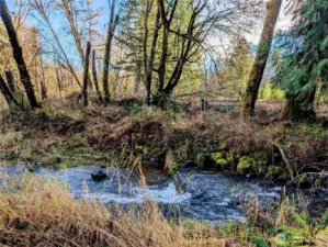 Creek frontage, walk to fishing hole