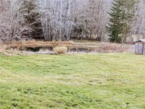 Pond in lower field