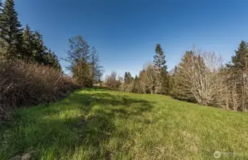 lots of garden space
