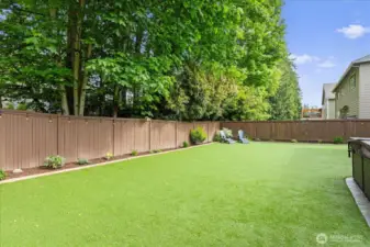 Nothing prettier than all that turf and no lawn mower needed!