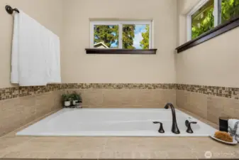 Primary suite soaking tub.