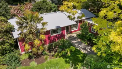 Surrounded by lush plantings, even a palm tree!
