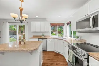 Great Kitchen Views to the Backyard