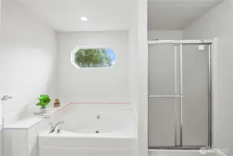 Soaker Tub w/ Separate Shower