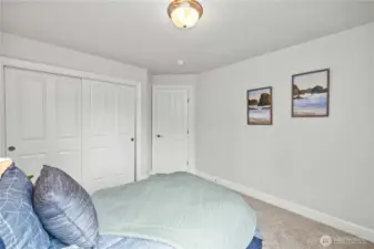 Plush Carpet