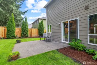Large Backyard Patio