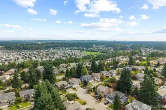 Neighborhood View Looking SW Towards Mt Rainier (not pictured)