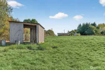 Loafing shed on flat pastoral land.