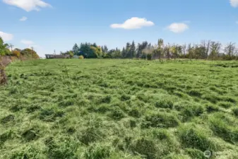 Lush pasture land surrounds the loafing shed.