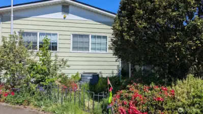 gorgeous yard