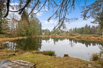 Private Pond Stocked with Fish