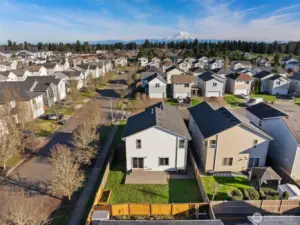 Huge, fully fenced yard